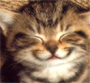 Avatar de aliciapons